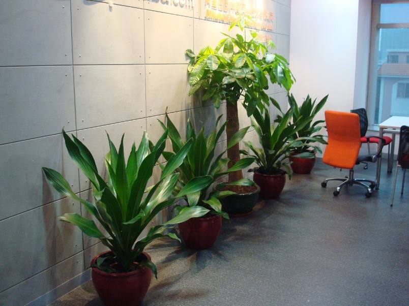 1592896045609760.jpg 微信圖片_20200623152500.jpg