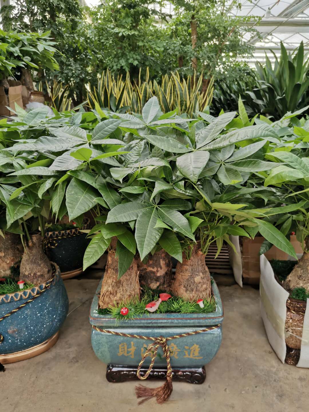 1599530752790795.jpg 4.jpg