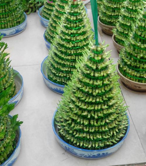 1607500661899536.jpg 5ea52f22c06bd.jpg