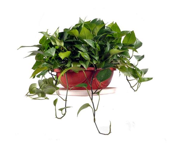 1621938952120747.jpg 微信圖片_20210525183232.jpg