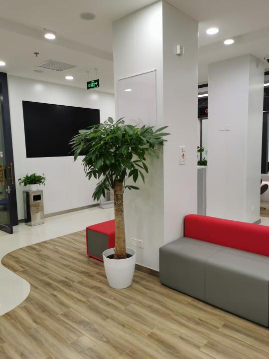 1650094086616731.jpg 3bbc7adc3b74149200ce397cd3cab52.jpg