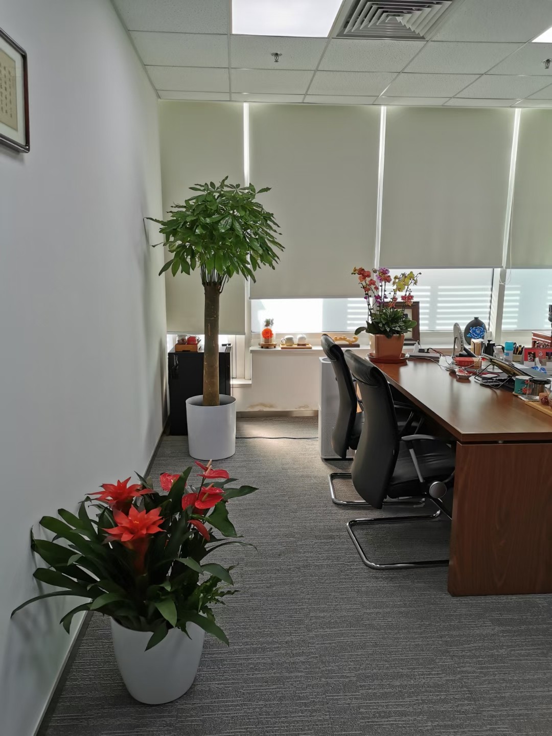 1650094115373300.jpg 4af0d724c11ded4d864e03e5f1ef7c3.jpg