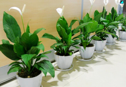 1661478007100543.jpg 02e264fff5d36ca08dc6ed88d56875a.jpg