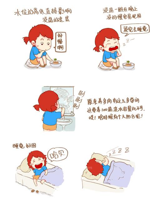 多肉種植浸盆法 多肉種植浸盆法