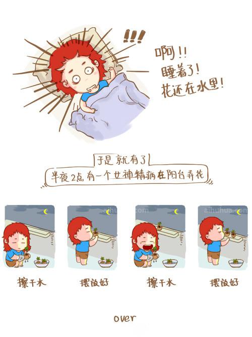 多肉種植浸盆法 多肉種植浸盆法